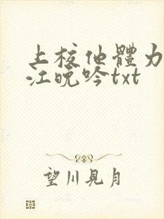 上校他体力太好江晚吟txt