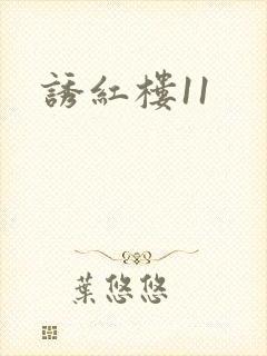诱红楼11
