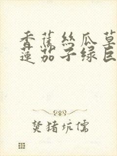 香蕉丝瓜草莓榴莲茄子绿巨人免费