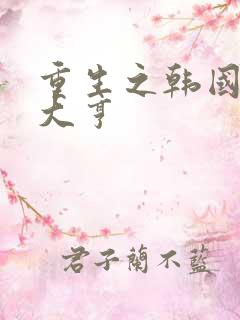 重生之韩国娱乐大亨