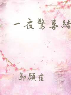 一夜惊喜结局