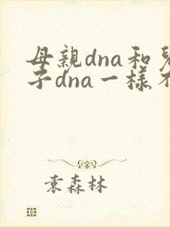母亲dna和儿子dna一样不