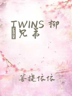 TWINS 柳澤兄弟