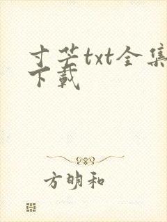 寸芒txt全集下载