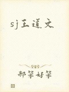sj王道文