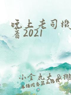 晚上老司机睡不着2021