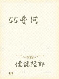 55爱网