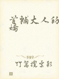 首辅大人的掌心娇