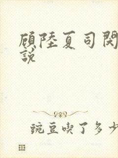 顾陆夏司闵郁小说