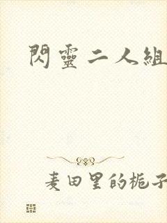 闪灵二人组下载