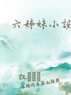 六姊妹小说