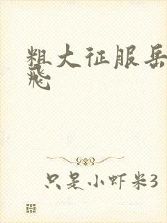 粗大征服岳女双飞