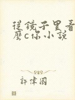 从镜子里看我怎么c你小说