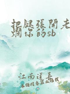 把腿张开老子臊烂你的sb