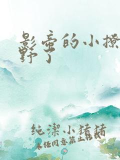 影帝的小撩精太野了