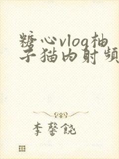 糖心vlog柚子猫内射频