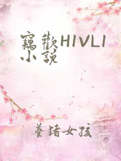 窃欢H1VL1小说