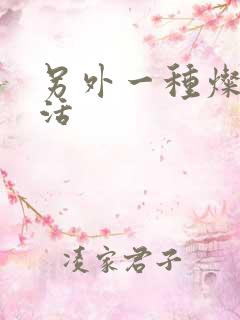 另外一种灿烂生活