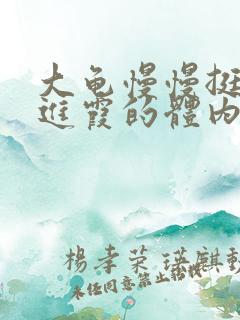 大龟慢慢挺进王进霞的体内