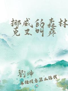 挪威的森林打扑克又叫疼