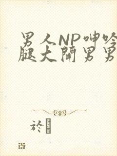 男人NP呻吟双腿大开男男小说