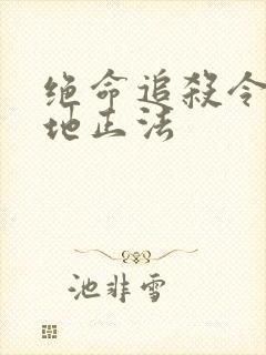 绝命追杀令2就地正法