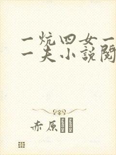 一炕四女一共侍一夫小说阅读