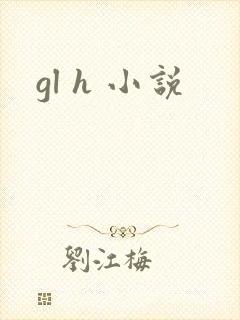 gl h 小说