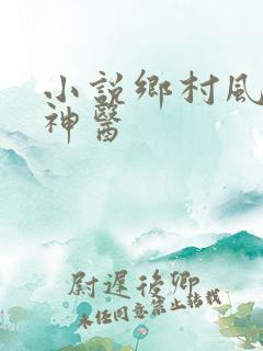 小说乡村风流小神医