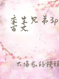 孪生兄弟3ph古文