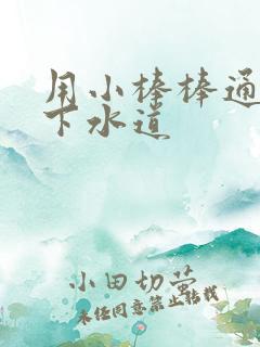 用小棒棒通你的下水道