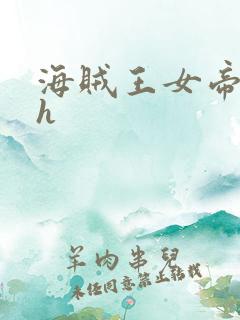 海贼王女帝娜美h