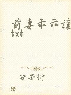 前妻乖乖让我疼txt
