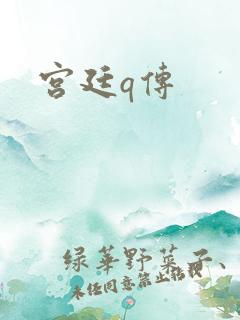 宫廷q传