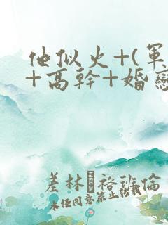 他似火+(军婚+高干+婚恋)