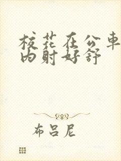 校花在公车上被内射好舒