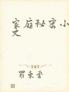 家庭秘密小说全文