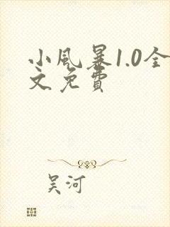 小风暴1.0全文免费