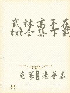 武林高手在异世txt全集下载