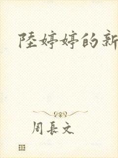 陆婷婷的新故事
