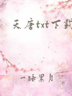 天唐txt下载