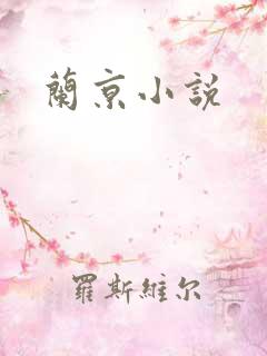 兰京小说