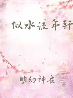 似水流年轩辕悬