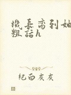 机长脔到她哭h粗话h