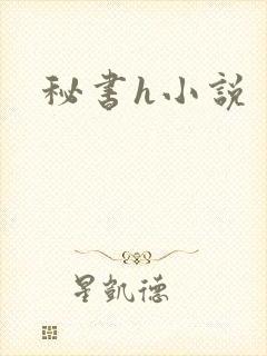秘书h小说