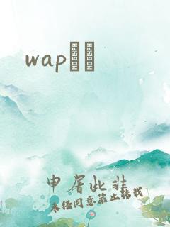 wapС˵
