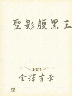 圣影腹黑王子帮