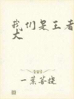 我们是王者立海大