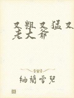 又粗又猛又大爽老大爷