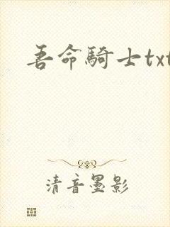 吾命骑士txt